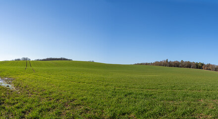 Fototapeta na wymiar Panorama with a grass hill and blue sky on a sunny day in spring