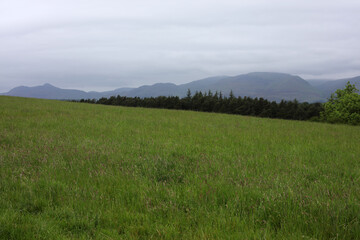 Fototapeta premium View of the countryside from King's seat hilltop - Clackmannan - Stirlingshire - Scotland - UK