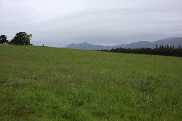 Fototapeta premium View of the countryside from King's seat hilltop - Clackmannan - Stirlingshire - Scotland - UK