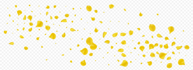 Amber Sakura Spring Vector Panoramic Transparent