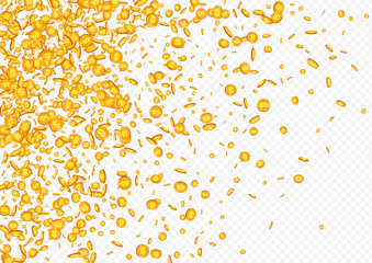Flying Gold Coin Vector Transparent Background.