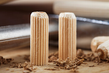 Two wooden dowel for fastening oak plank. Timber industry.