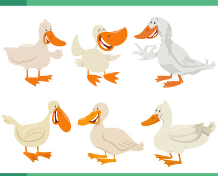 cartoon funny ducks farm animal characters set