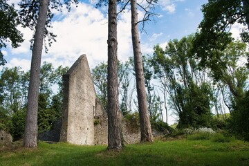 Low-angle shot of a part of Poilvache fortress with some trees and blue sky background
