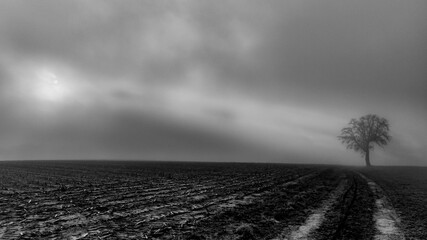 Greyscale shot of a cloudy field