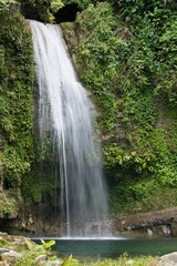 Vertical shot of a waterfall in a forest