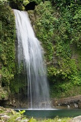 Obraz premium Vertical shot of a waterfall in a forest