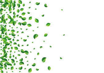 Forest Greens Swirl Vector White Background.