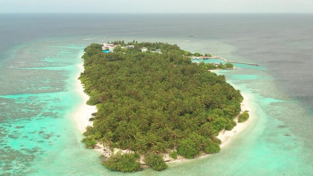 Aerial view a Tropical beach with palm trees, Thinadhoo island, Vaavu atoll, Maldives.