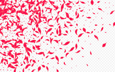 Delicate Flower Vector Transparent Background.