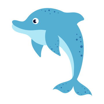 flat vector illustration of cartoon dolphin isolated on white
