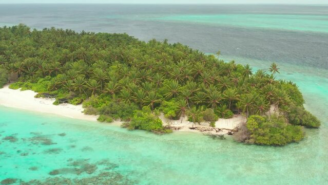 Aerial view a Tropical beach with palm trees, Thinadhoo island, Vaavu atoll, Maldives.