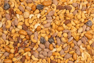 A group of almonds, pistachios, walnuts, macadamia, cashews.