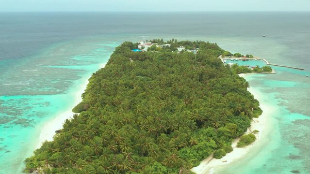 Aerial view a Tropical beach with palm trees, Thinadhoo island, Vaavu atoll, Maldives.