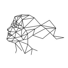 Human face from polygons vector illustration - 579454892