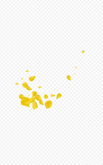 Mustard Petal Flying Vector Transparent
