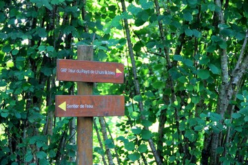 Closeup of a road sign on a wooden rod with green trees background