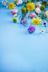 Beautiful colourful summer bouquet separate flowers on blue background