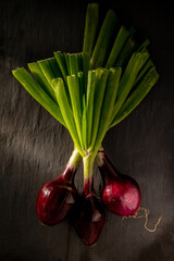 Jumbo red spring onions