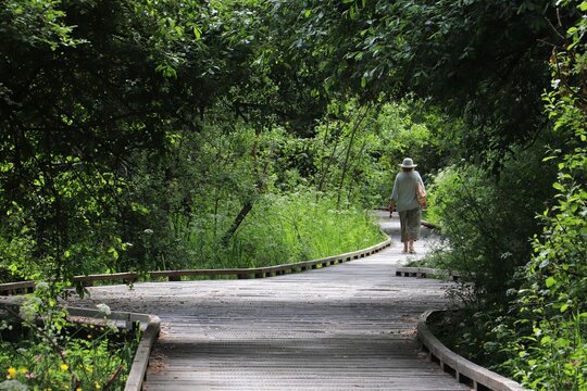 Lady Walking On A Narrow Path In A Green Park On A Sunny Day