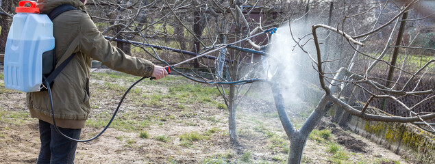 A woman works in the spring garden and spray with a rechargeable sprayer chemicals against pests...