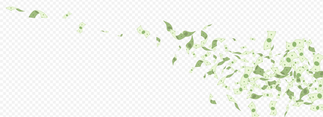 Swirl Dollar Vector Transparent Panoramic