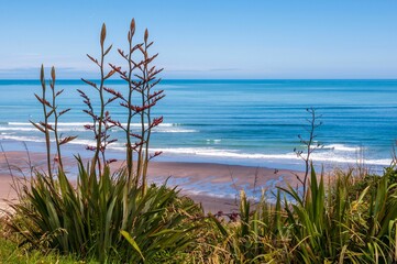 Beautiful view of a beach in Raglan, New Zealand.