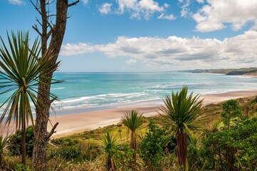 Scenic view of the seaside in North Island, New Zealand