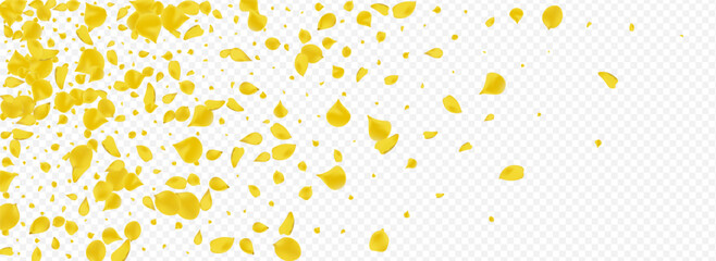 Gold Blossom Beauty Vector Panoramic Transparent