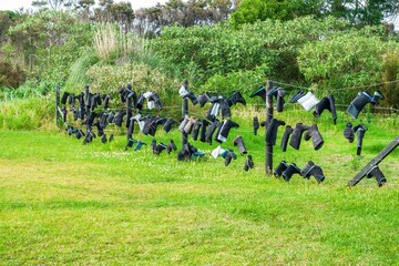Lot of gumboots hanging on a wire fence in a grass field