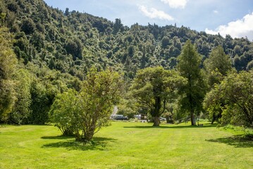 Beautiful view of a green landscape with high trees against a cloudy sky