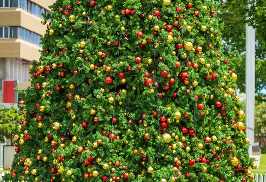 Decorated Christmas Tree In Palmerston North New Zealand