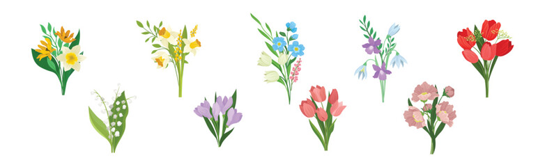 Meadow Flower Blossom with Stems Bouquet Vector Set