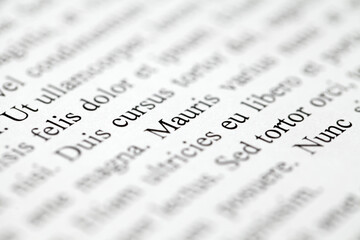 Lorem Ipsum on printed on paper, project, inscription, note, middle of text on diagonal, selective...