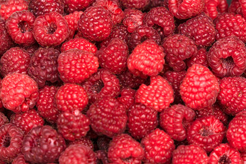 Fresh red raspberries close-up.Beautiful harvest.