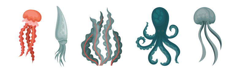 Marine Habitant and Sea Underwater Mammals Vector Set