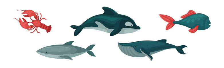 Marine Habitant and Sea Underwater Mammals Vector Set