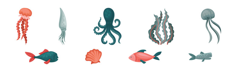 Marine Habitant and Sea Underwater Mammals Vector Set