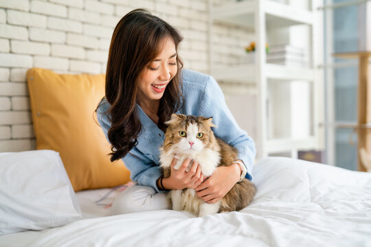 Pretty Asian Woman Hug Cat And Sit On Bed With Happy Emotion While Cat Look At Camera With Day Light.