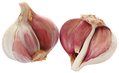 Garlic over white background