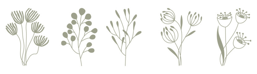 A set of hand-drawn flowers and herbs. Botanical monochrome vector illustration of Flower branch elements for postcards, wedding invitations, quotes, blogs, frames, labels. Botanical rustic design.