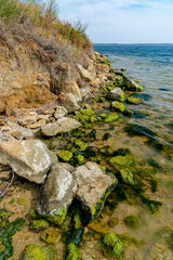 Fototapeta na wymiar Stones near the shore, overgrown with Mytilaster mollusk and Enteromorpha green algae in Tiligul estuary, Ukraine