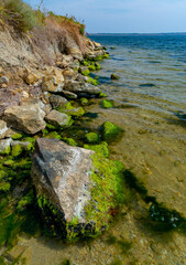 Stones near the shore, overgrown with Mytilaster mollusk and Enteromorpha green algae in Tiligul...
