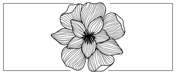 Vector black and white illustration with a flower for textiles, covers, designs, presentations
