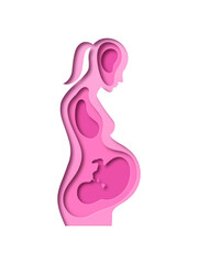 Realistic paper cut pregnant woman with baby fetus growing inside. New mother expecting child. Pink 3D papercut female silhouette illustration for motherhood or medical pregnancy concept.