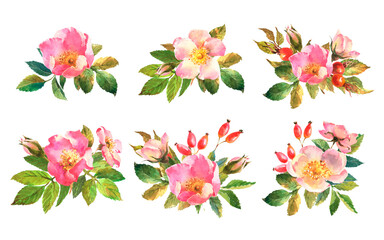 Set of Botanical wild rose flower watercolor. Watercolor bouquet of rose hip flowers, leaves and berries, hand drawn floral illustration isolated on a white background.