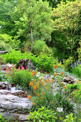 Colorful flowers in the botanical garden. Selective focus.