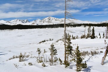 winter in the mountains