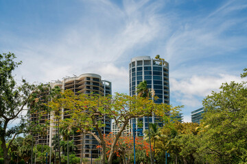 Views of high rise residences from a park with trees at Miami, Florida. There are varieties of trees at front against the condominium buildings with modern exterior against the sky.
