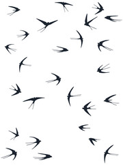 Flying swallow birds silhouettes vector illustration. Migratory martlets group isolated on white.